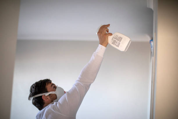 Best Mold Testing  in West Bountiful, UT