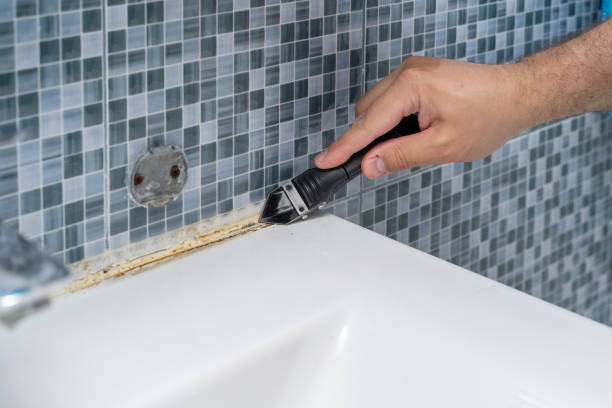 Best Mold Cleaning Services  in West Bountiful, UT