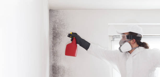 Water Damage Restoration in West Bountiful, UT