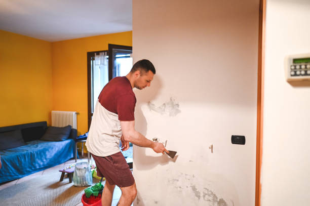 Best Mold Damage Repair  in West Bountiful, UT